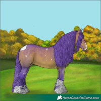 Horse Color:Watercolor White Spotted Bay Splash Tobiano 