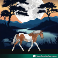 Horse Color:Silver Bay Tobiano 