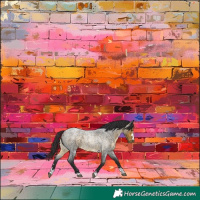 Horse Color:Buckskin Roan 