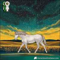 Horse Color:Perlino Roan 