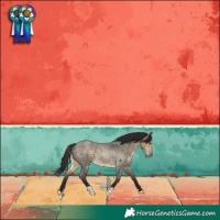 Horse Color:Buckskin Roan 