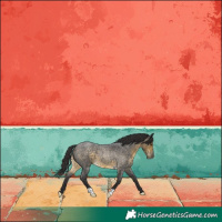 Horse Color:Buckskin Roan 