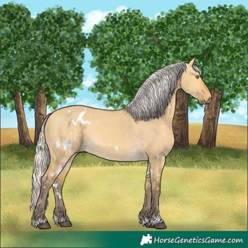 Horse Color:White Spotted Silver Buckskin Dun Rabicano 