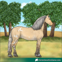 Horse Color:White Spotted Silver Buckskin Dun Rabicano