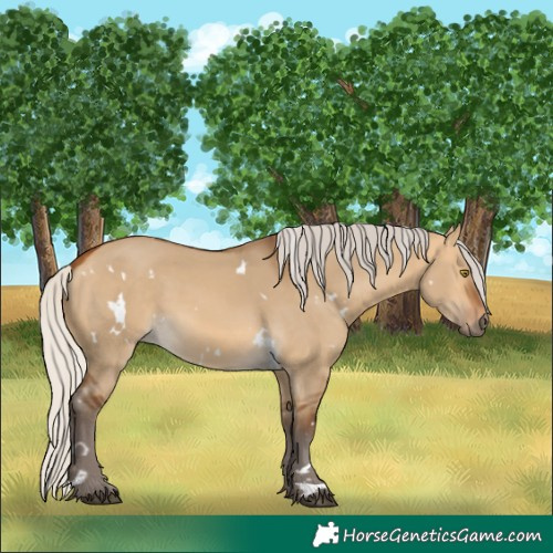 Horse Color:White Spotted Silver Buckskin Dun Rabicano 
