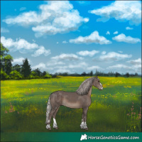 Horse Color:Silver Black 