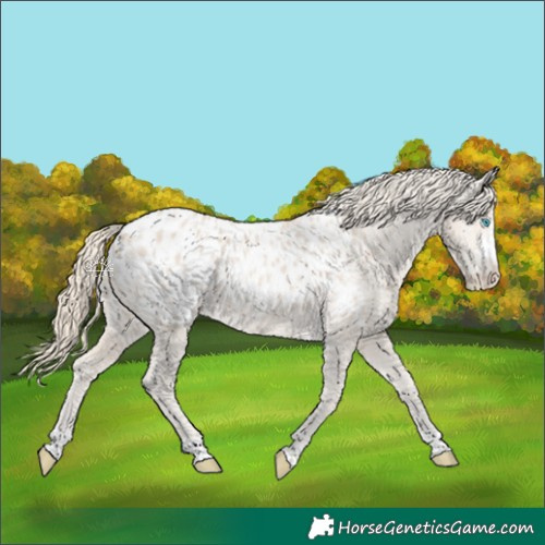 Horse Color:Smoky Creme Blanket 