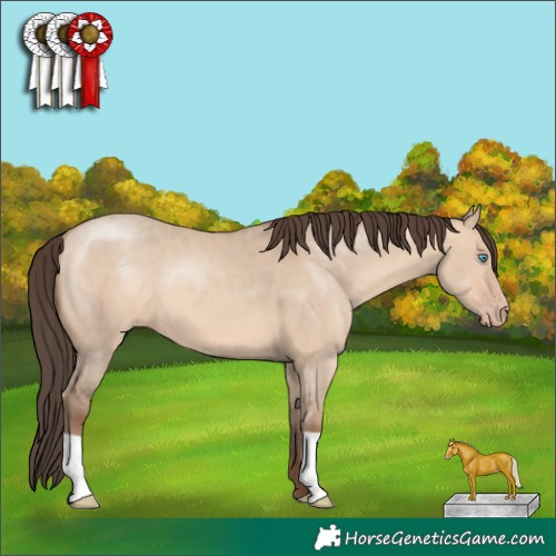 Horse Color:Amber Champagne Dun 