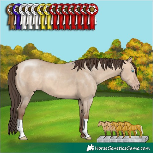 Horse Color:Amber Champagne Dun 