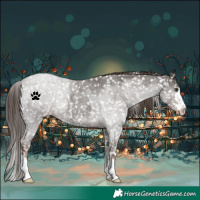 Horse Color:Liver Red Roan Snowflake Varnish Rabicano 