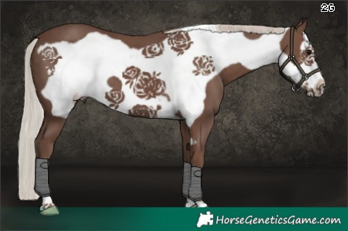Horse Color:Silver Black Frame 