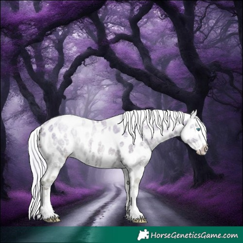 Horse Color:Silver Amber Champagne Ice Pearl Tobiano Appaloosa Rabicano 