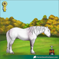 Horse Color:Gray White Spotted Silver Sable Champagne Mushroom Tobiano Appaloosa 