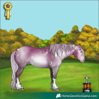 Horse Color:Gray White Spotted Silver Sable Champagne Mushroom Tobiano Appaloosa 