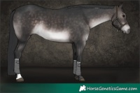 Horse Color:Platinum Brown 
