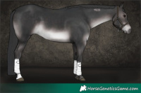 Horse Color:Platinum Brown 