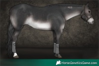 Horse Color:Platinum Brown