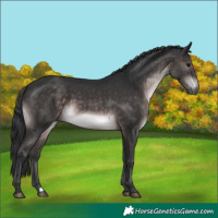 Horse Color:Platinum Brown