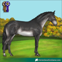 Horse Color:Platinum Brown