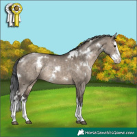 Horse Color:White Spotted Brown Dun Splash Rabicano 