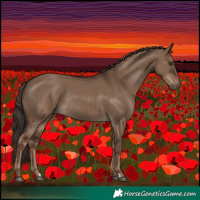 Horse Color:Liver Red Dun Rabicano 