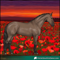 Horse Color:Liver Red Dun Rabicano 