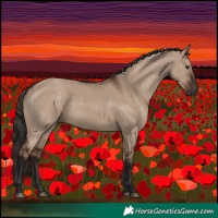 Horse Color:Liver Red Dun Rabicano 