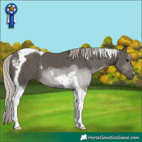 Horse Color:Silver Black Tobiano 