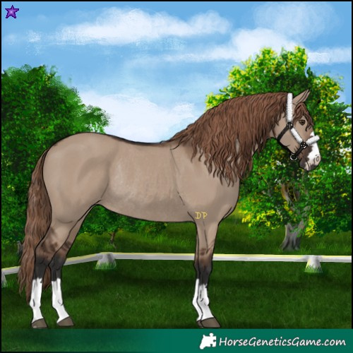 Horse Color:Liver Red Dun Rabicano