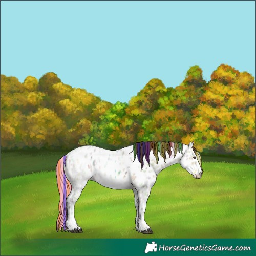 Horse Color:Painted Bay Ice Dun Near Leopard Rabicano