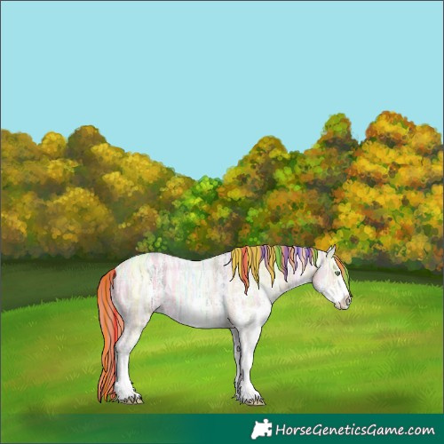Horse Color:Painted Gold Champagne Ice Dun Sabino Rabicano 