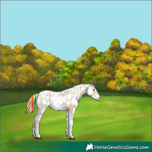 Horse Color:Painted Palomino Ice Sabino Near Leopard 