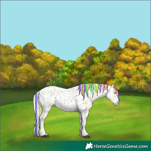 Horse Color:Painted Palomino Ice Appaloosa