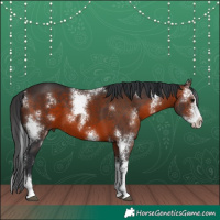 Horse Color:Brown Sabino 