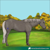 Horse Color:Silver Black 