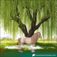 Horse Color:Red Roan Blanket 