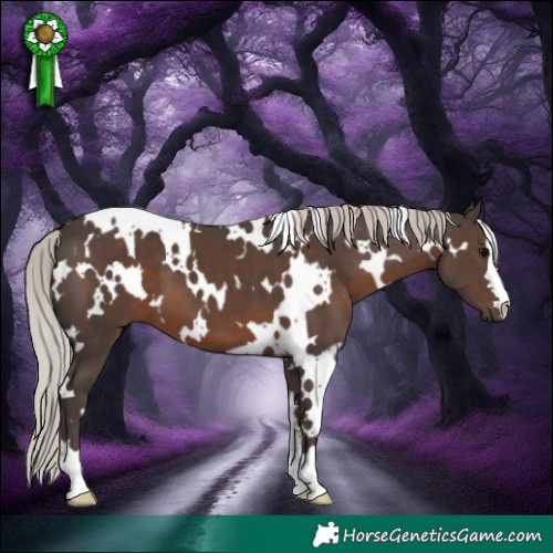 Horse Color:White Spotted Silver Black 