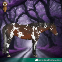 Horse Color:White Spotted Liver Chestnut 