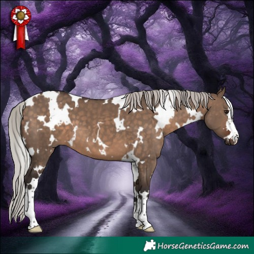 Horse Color:White Spotted Silver Brown Dun 