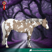 Horse Color:White Spotted Silver Brown Dun 