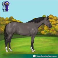 Horse Color:Smoky Grullo 