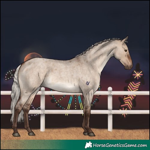 Horse Color:Silver Brown Roan Dun Rabicano
