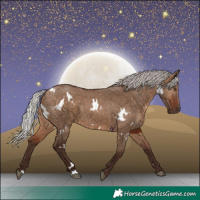 Horse Color:White Spotted Silver Brown Dun Rabicano 
