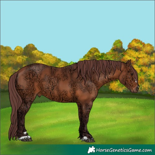 Horse Color:Chocolate Bay Ice 