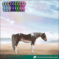 Horse Color:Liver Chestnut Mushroom Tobiano