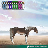 Horse Color:Liver Chestnut Mushroom Tobiano 