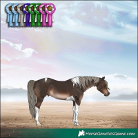 Horse Color:Liver Chestnut Mushroom Tobiano 