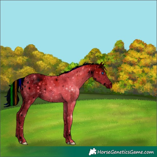 Horse Color:ERROR: UNKNOWN ANOMALY