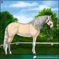 Horse Color:Silver Buckskin Dun Tobiano