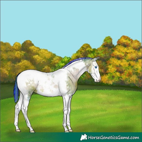 Horse Color:Painted Watercolor Bay Ice Onyx Splash Tobiano